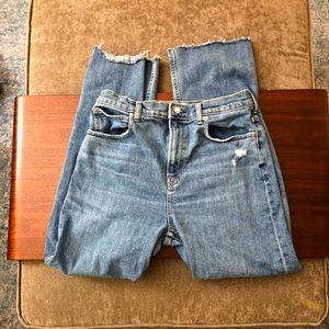 Everlane The Way High Jean 30 Long